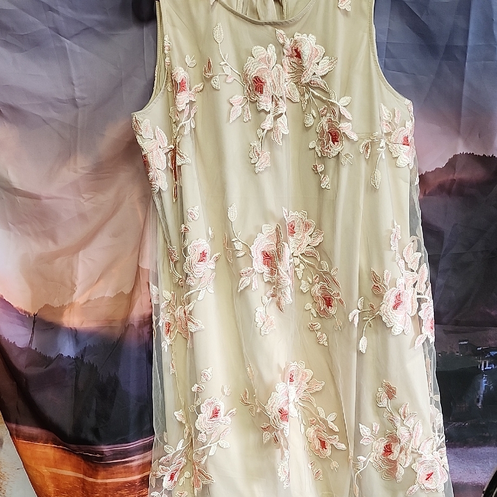 *Elegant Floral Embroidered Midi Dress in Cream and Pink